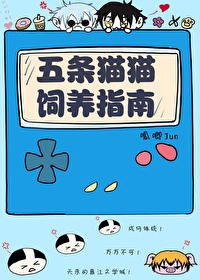 五条猫猫是什么品种