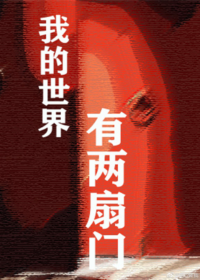我的世界上下开的门