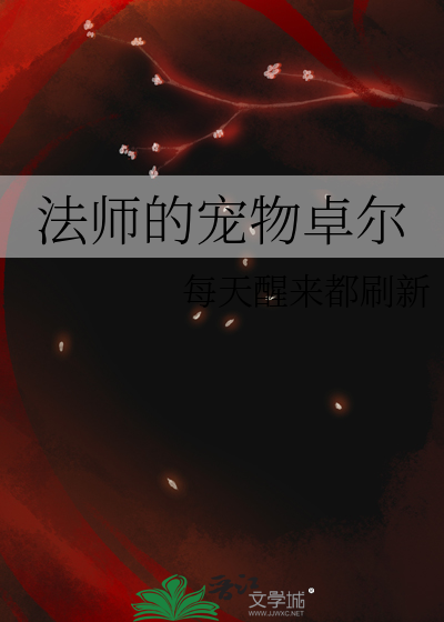 魔兽世界法师宝宝任务哪里接的