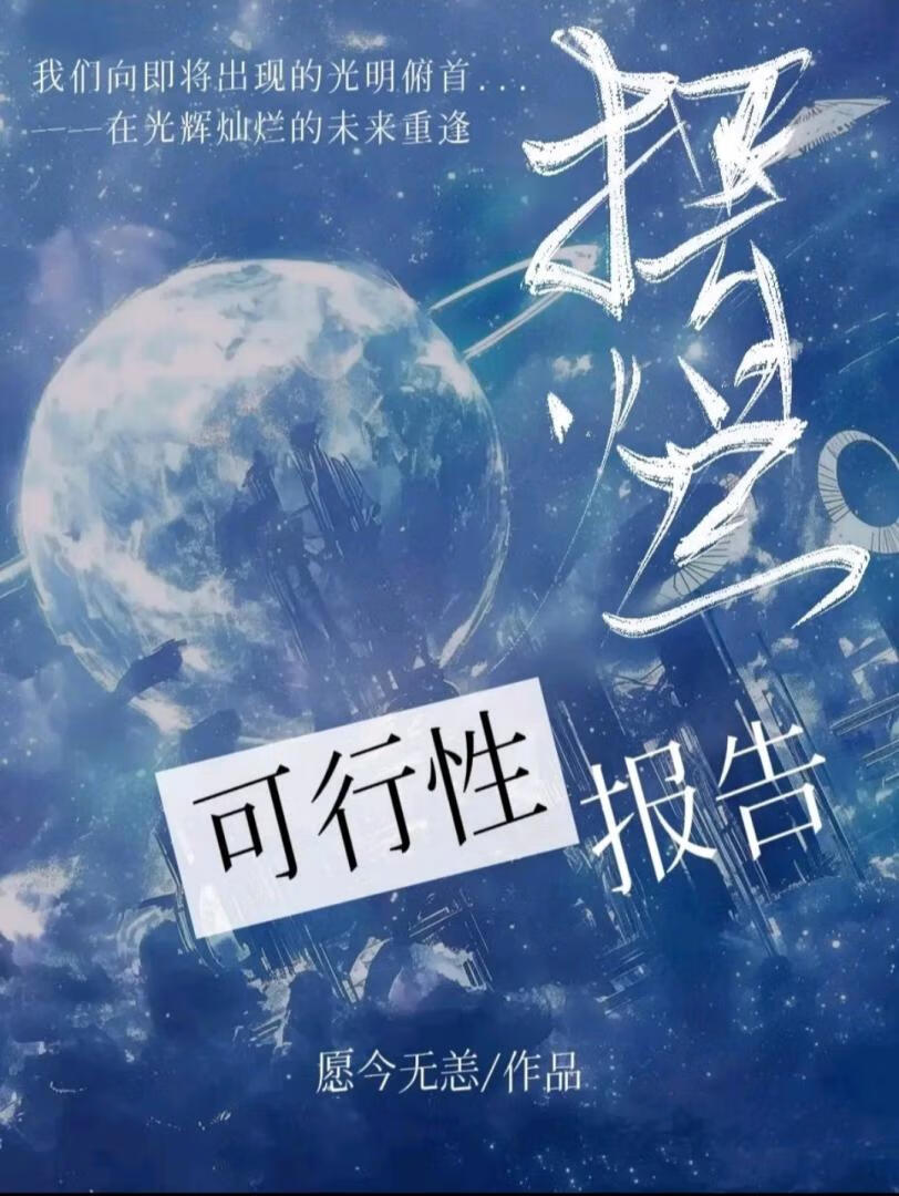 可行性报告范文精简版