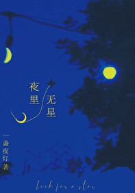 夜里无星一盏夜灯笔趣阁