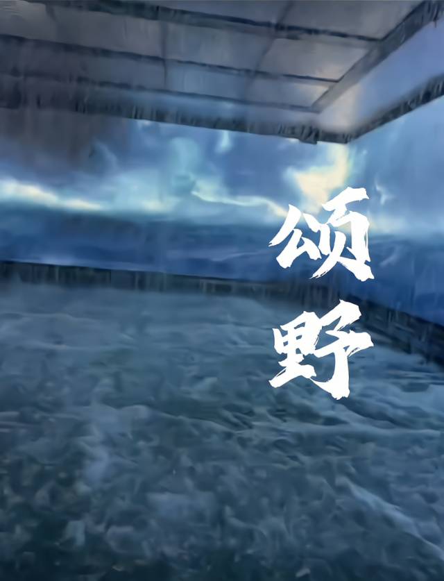 颂野是什么意思