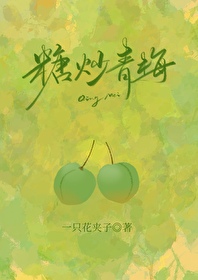 糖渍青梅做好了怎么吃