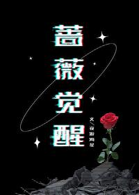 蔷薇换哪个好