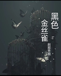 黑色金丝雀图片