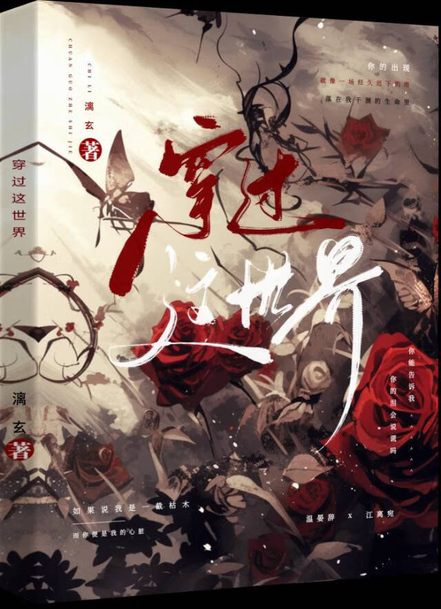 穿过世界去爱你什么意思