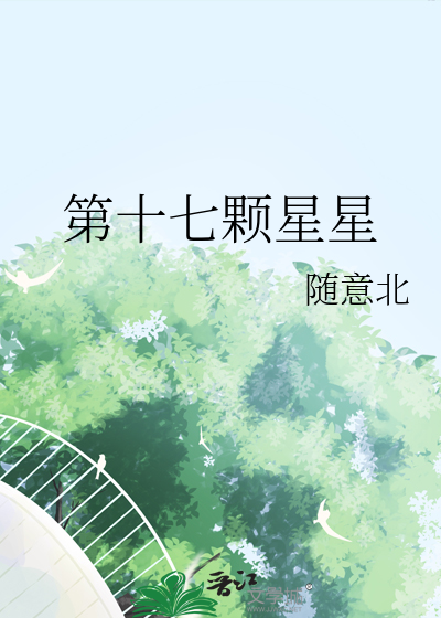 十七颗星星暗示什么意思