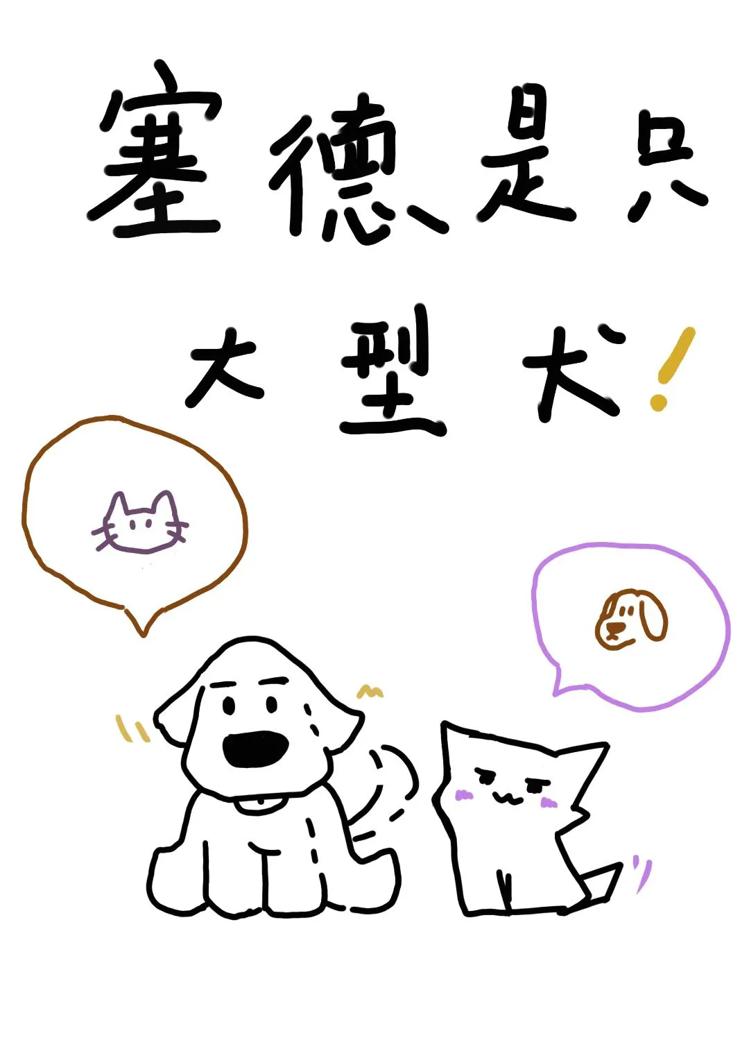 赛德是什么意思