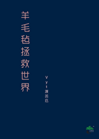 羊毛毡 知乎