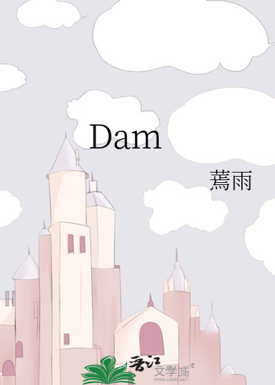 dam是什么意思