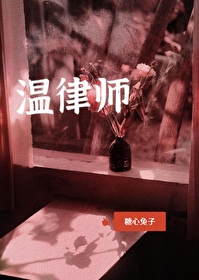 温律师我要对你负责免费阅读