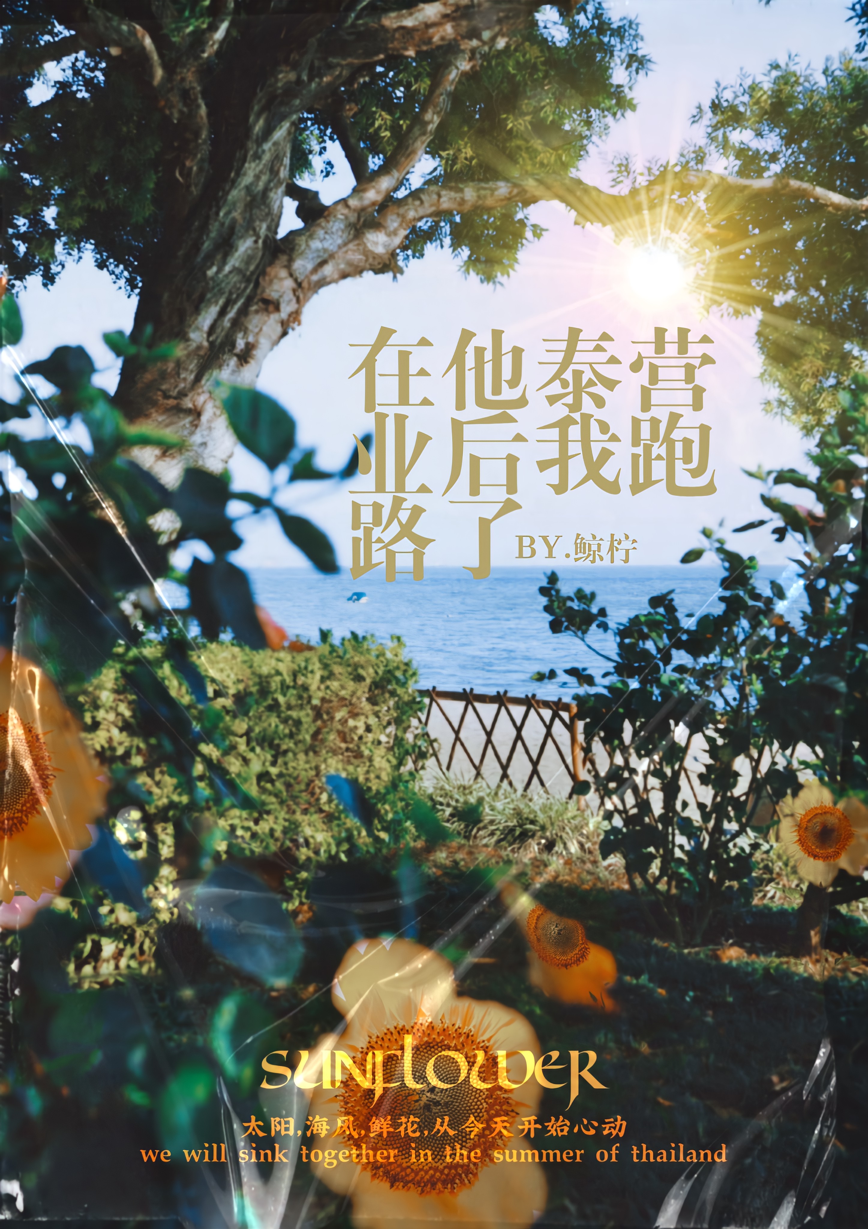 他泰cp营业期