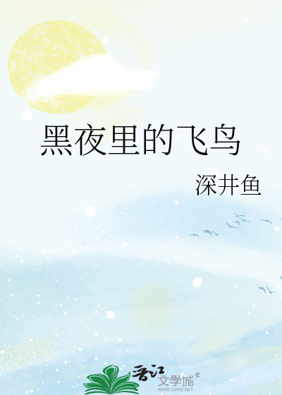夜晚飞鸟