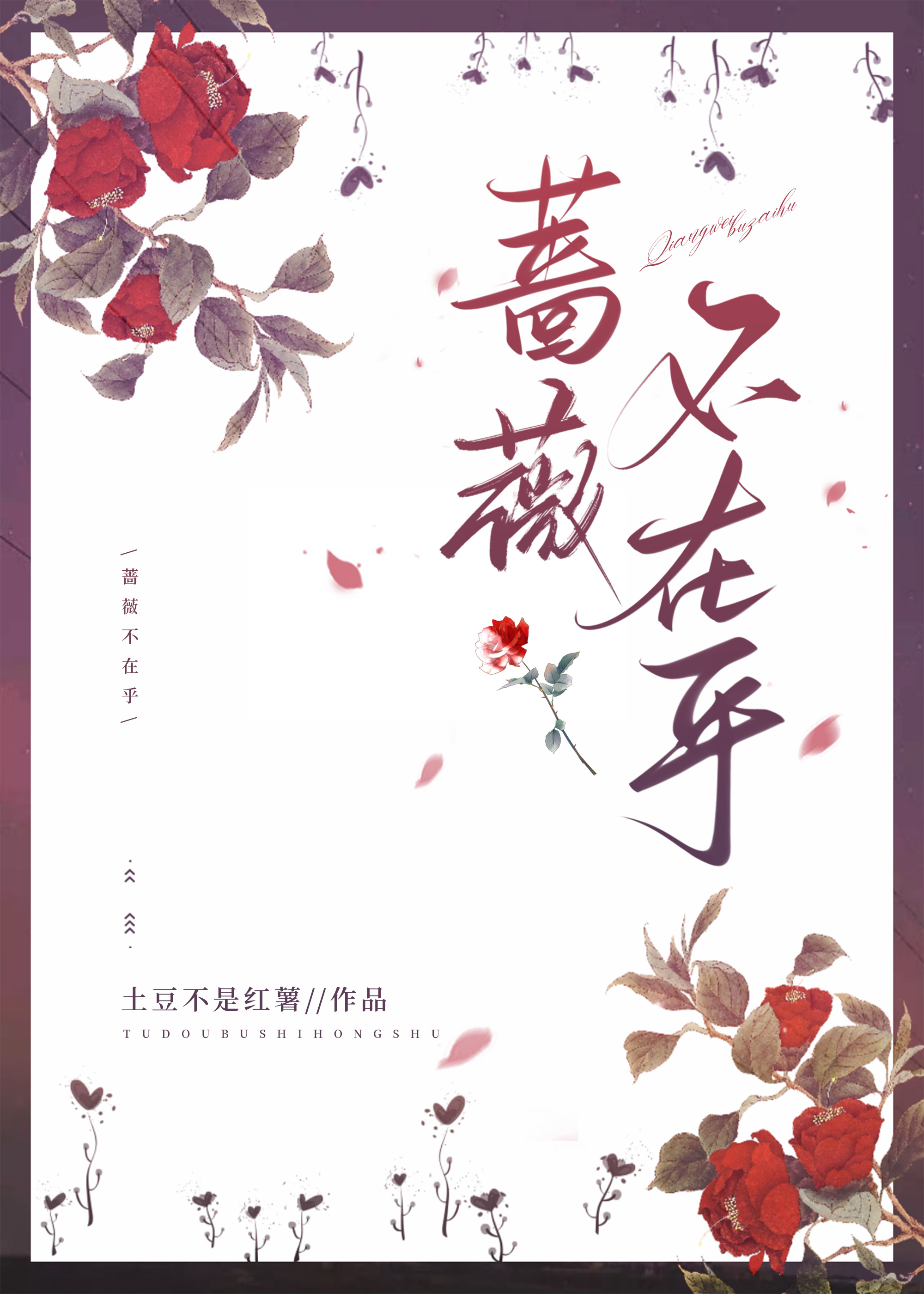 蔷薇不见太阳能开花吗