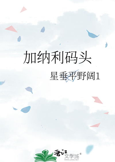 加纳利码头小说