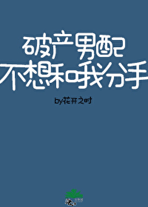 男配破产以后 小说