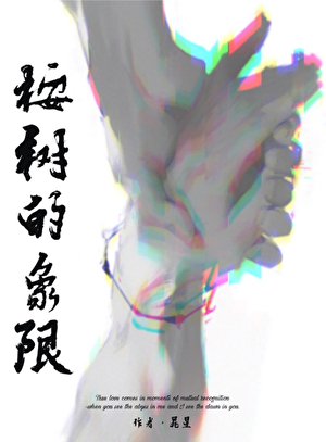 桉树的象限