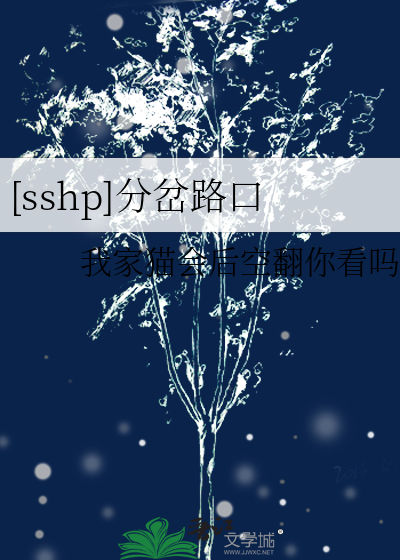 [sshp]分岔路口