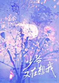 少爷又在想我四沂
