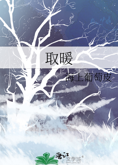 取暖炉家用