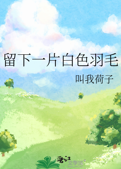 一片白色的羽毛