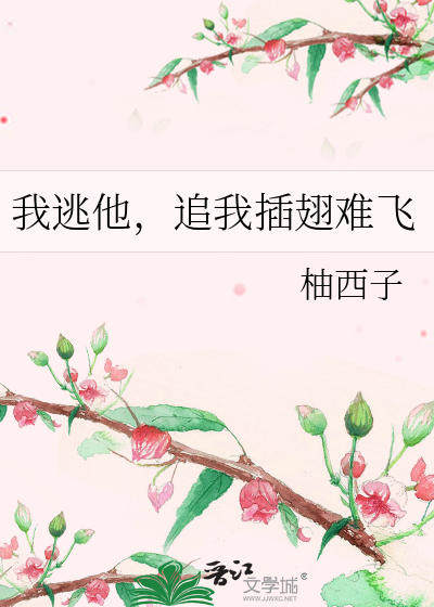 追我插翅难飞小说