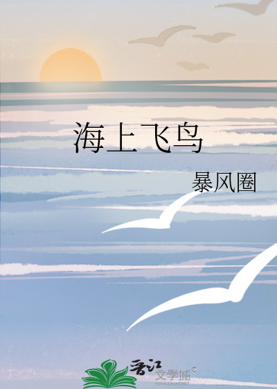 海上飞鸟的隐喻和象征意义