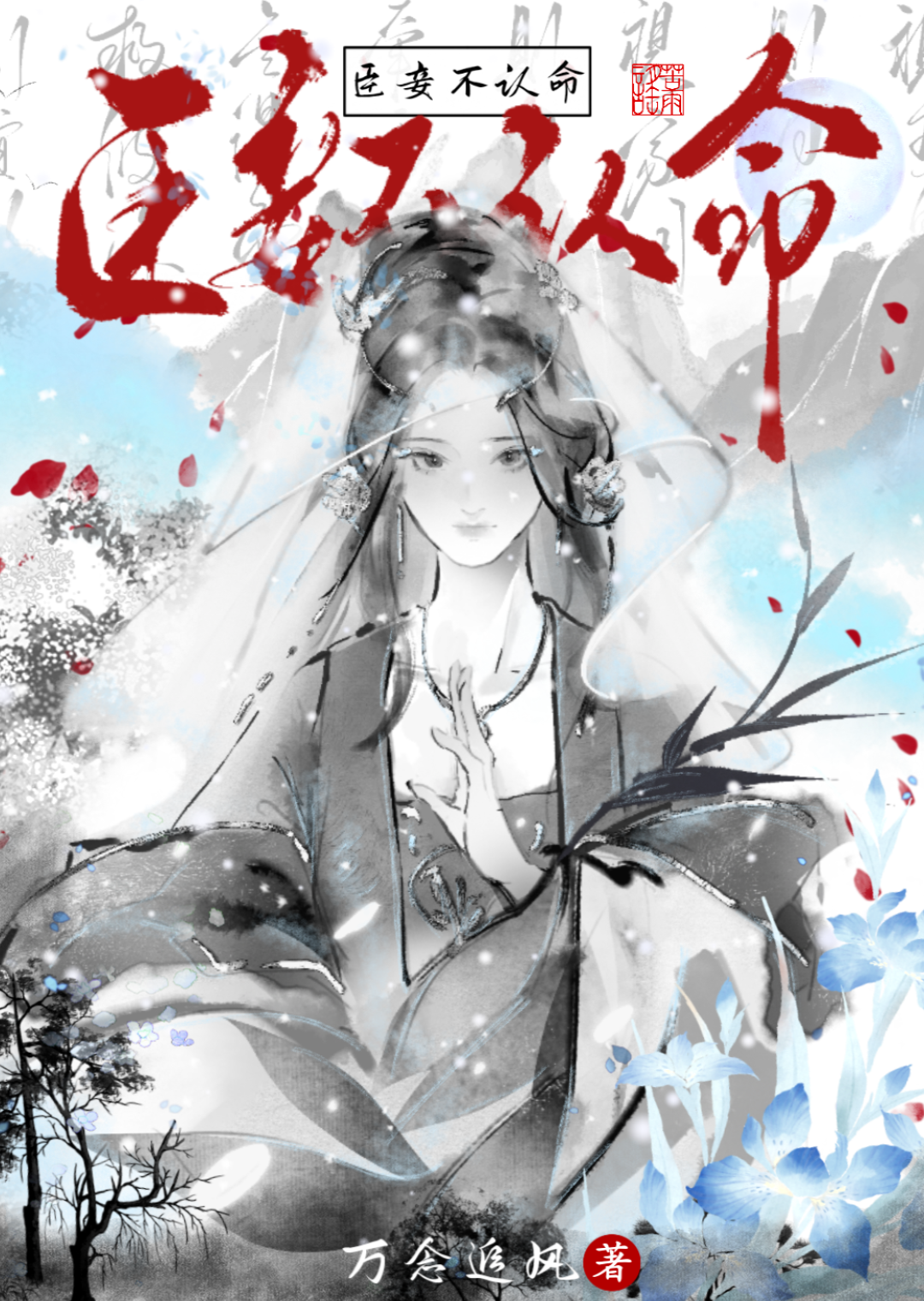 阿七不跪