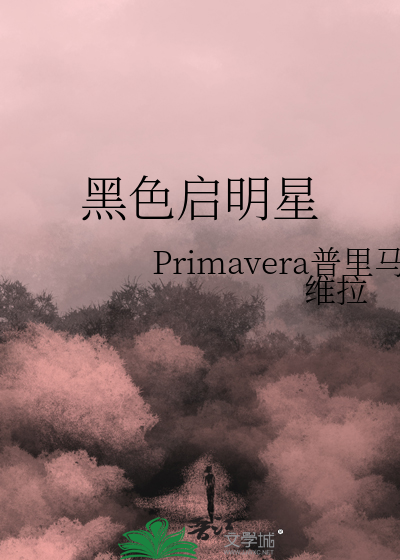 黑暗中的启明星是什么意思