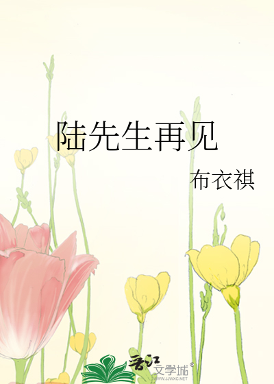 陆先生再见