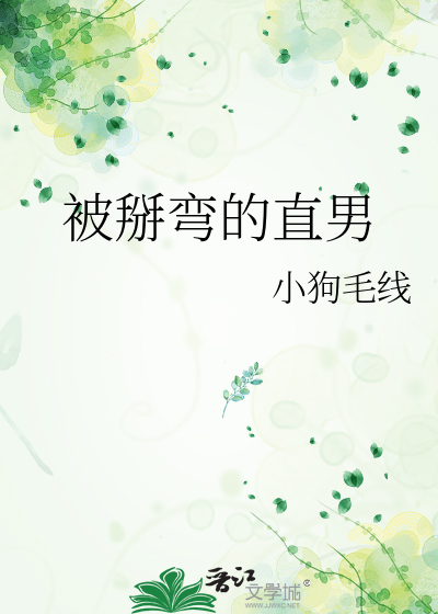 被掰弯的直男